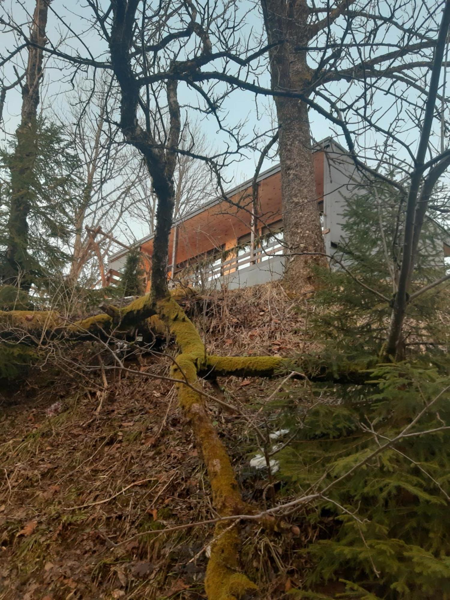 Oryavchik Country House Oryavchyk Rom bilde
